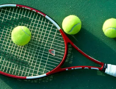 О сборных командах | Федерация тенниса России – официальный сайт