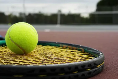 Теннис для начинающих: первые шаги на пути к мастерству - Katta tennis
