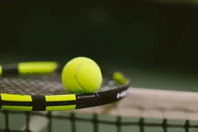 Все значимые турниры по большому теннису в мире| Виды кубков | chempionov.ru