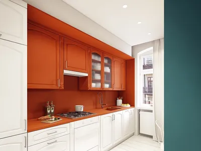 Терракотовый цвет в интерьере кухни - 59 фото