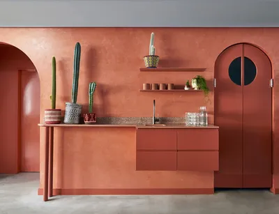 Терракотовый цвет в интерьере кухни - 67 фото