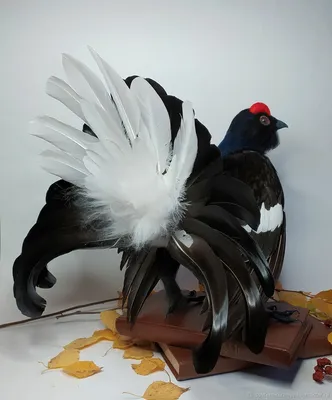 Тетерев реалистичная птица из шерсти – заказать на Ярмарке Мастеров –  KDT82RU | Войлочная игрушка, Великие Луки
