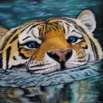 Обои тигр, вода, 2014, зубы на рабочий стол