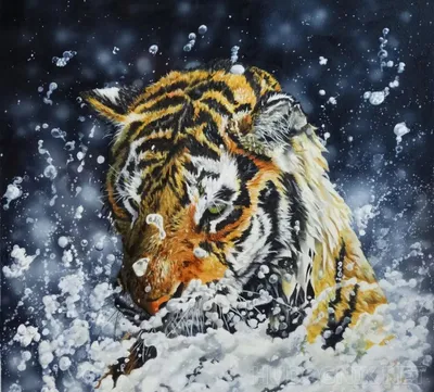 Черно-белая картина \"Белый тигр в воде\"
