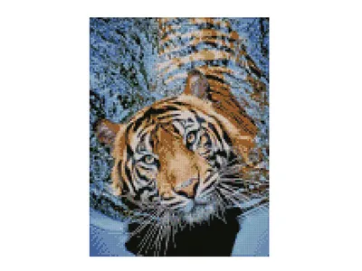 Картина по номерам «Мощные Тигры в Воде» GX5729 - купить по выгодной цене |  Lounge-Zone