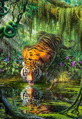 Скачать обои тигр, вода, поза, взгляд, лежит разрешение 960x854 #240357