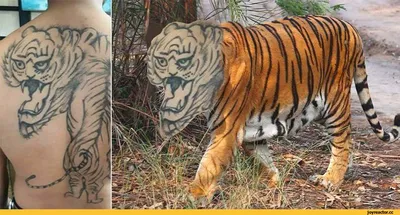 Tattoo Art Gallery - #tattoo riga#tiger tattoo#tiger tattoo on arm#тигр тату #тату тигр на руке @tattoo.artgallery | Facebook