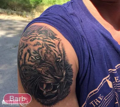 https://barb.ua/tatu-pirsing/foto-tigr