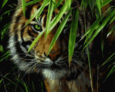 Купить тигр на охоте в джунглях за 1300 руб. | Tiger pictures, Diamond  painting, Wild animal wallpaper