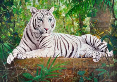 дикое животное тигр в джунглях ревет с широко открытыми зубами, тигр  смотрит вверх с высунутым языком, Hd фотография фото, Сибирский тигр фон  картинки и Фото для бесплатной загрузки
