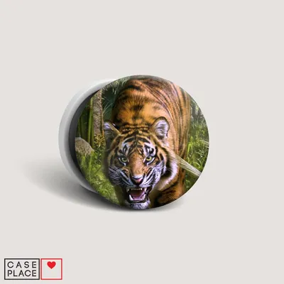 тигр в джунглях росписи гостиной - TenStickers