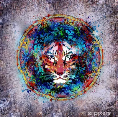 Тигр В Джунглях — стоковые фотографии и другие картинки Без людей - Без  людей, Бенгальский тигр, Влажный тропический лес - iStock