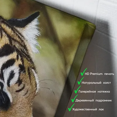 тигр профиль тату: 2 тыс изображений найдено в Яндекс.Картинках | Tiger  sketch, Tiger drawing, Tiger art