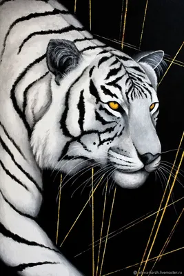 Цветной черно-белый рисунок тигра . Векторное изображение ©Nataljacernecka  107570020