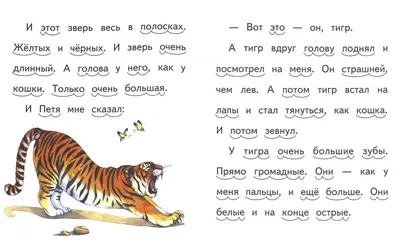 Кто сильнее и больше, лев или тигр? | Фильмы, животные, еда, новости. | Дзен