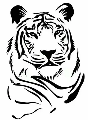 Тигра рисунок фото
