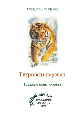 https://drawpics.ru/15644-tigr-bokom-risunok