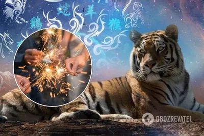 Как встретить год Тигра: советы астролога