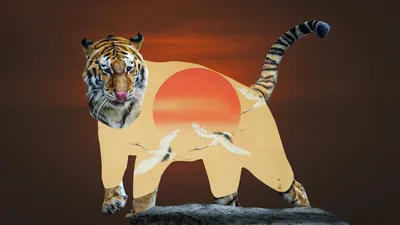Янтарный хищник: образ тигра в мифах, культуре и литературе | Про|странство