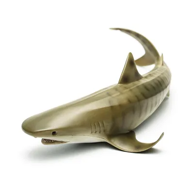 Тигровая акула Tiger Shark (ID#1315762446), цена: 990 ₴, купить на Prom.ua