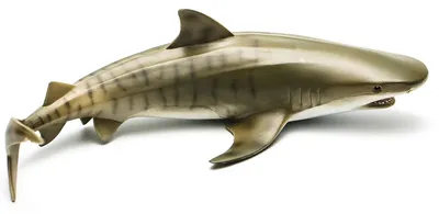 Фигурка Детское Время Animal Тигровая акула плывет Морская жизнь - цена,  фото, характеристики