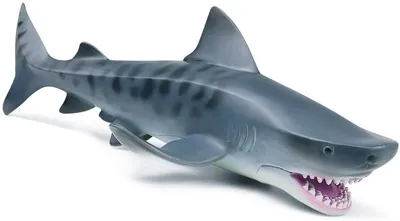 Тигровая акула 3D Модель $29 - .max .obj .unknown - Free3D