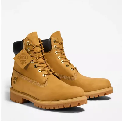 TIMBERLAND SHOES sneakers Field Trekker Low Brown | NICKIS.com