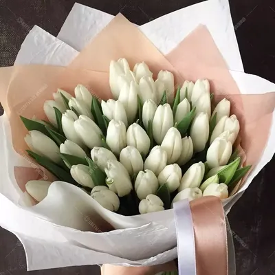 Букет 35 белых тюльпанов в упаковке с бесплатной доставкой в Барнауле |  Купить тюльпаны недорого