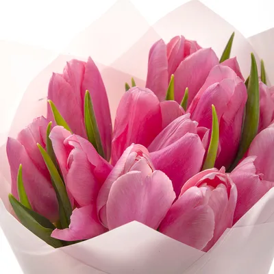 Букет из 11 розовых тюльпанов - купить в Москве по цене 1990 р - Magic  Flower
