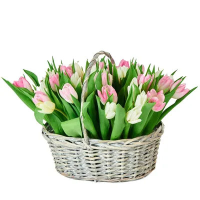 Букет тюльпанов в корзине Нежная весна купить недорого, доставка - магазин  цветов Абари в Омске