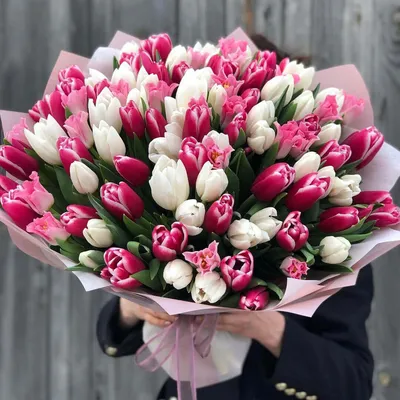 151 бело-розовый микс тюльпанов в букете | Бесплатная доставка цветов по  Москве