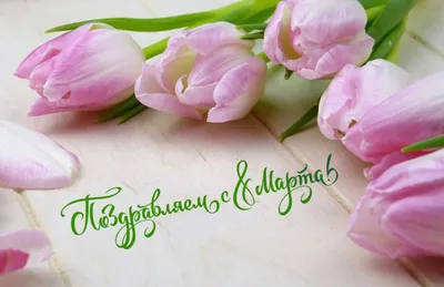 Открытка с 8 марта - фиолетовые тюльпаны на блестящем фоне