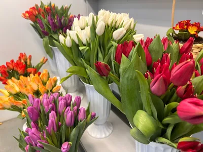 Тюльпаны, розы, гиацинты: сколько москвичи потратят на букет к 8 Марта в  2023 году – Москва 24, 28.02.2023