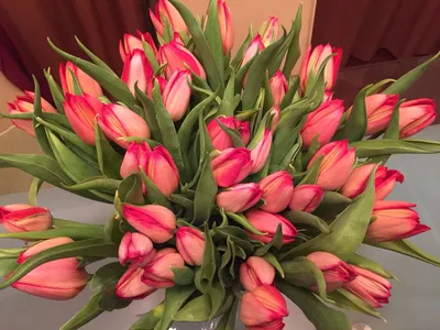 Красные тюльпаны, красивый букет | Tulip bouquet, Flowers, Tulips