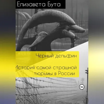 Что внутри \"Чёрного дельфина\" — российской тюрьмы, из которой ещё никто не  сбегал - Tchk.lv