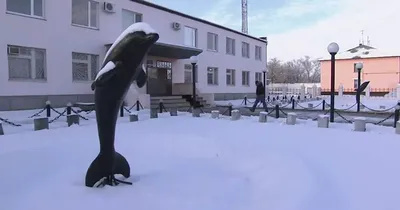 The Entrance To the Prison is the Black Dolphin. Black Dolphin is the Most  Terrible Prison in Russia Editorial Photo - Image of closing, barrier:  210128946