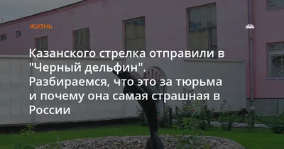 Черный дельфин»: факты о самой суровой тюрьме для пожизненно осужденных |  Литрес | Дзен