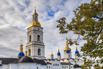 Город, который сфотографировал Медведев | Да пребудет с нами Светосила! |  Дзен