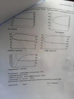 Над созданием Атласа и учебного пособия в формате компьютерной прогр