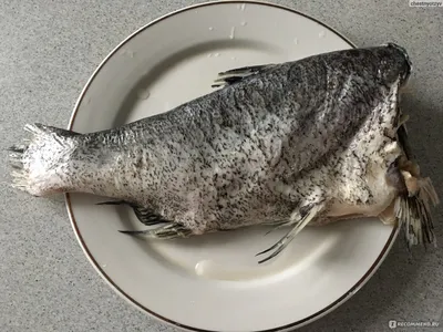 Рыба Толстолобик Свежий - «Как вкусно приготовить любую рыбу, в том числе  толстолобика. Подробный пошаговый рецепт. с большим количеством фото.» |  отзывы