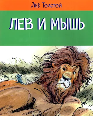 Паб Толстый Лев в Киеве: крафтовое пиво, живая музыка - TL Pub