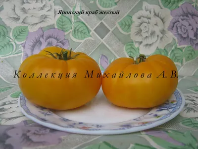 Отзыв о Семена томата Аэлита \"Японский краб\" | Сладкие и крупные помидоры  радуют дачников.
