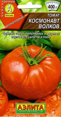 Томат Космонавт Волков 20шт, семена | Купить в интернет магазине Аэлита