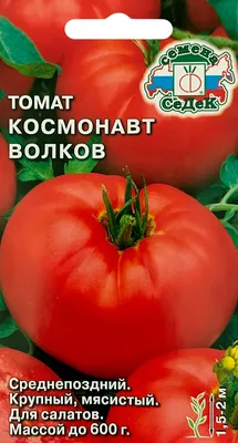 Томаты Русский огород 410152 - купить по выгодным ценам в интернет-магазине  OZON (913793078)