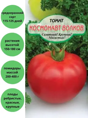 УЦЕНКА - Семена томата «Космонавт Волков», ТМ «СЕМЕНА УКРАИНЫ» - 0,1 грамм  купить недорого в интернет-магазине семян OGOROD.ua