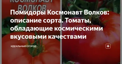 Томат Космонавт Волков 0.1 Г GL Seeds — Купить на BIGL.UA ᐉ Удобная  Доставка (1993837185)