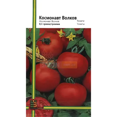 Томат Космонавт Волков, семена | ОГОРОД.сайт