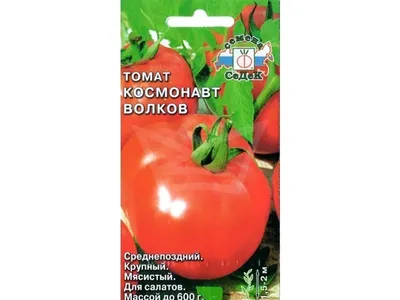 Купить онлайн Томат Космонавт Волков (УД) 20шт цв.п. 25 руб - интернет  магазин - заказ и доставка в Москве, Санкт-Петербурге, России и СНГ