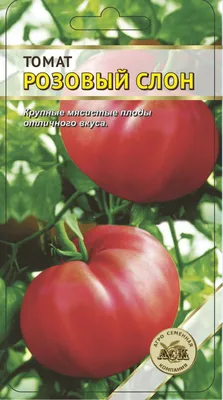 Семена Томат Розовый слон (2 шт.) — купить в интернет-магазине по низкой  цене на Яндекс Маркете