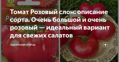 Томат Розовый слон семена купить ( индетерминантный, среднеспелый) Геліос,  цена в интернет-магазине Супермаркет Семян